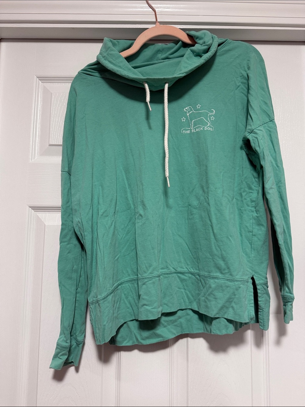 The Black Dog Seafoam Green Hooded Pullover with Dog Graphic
